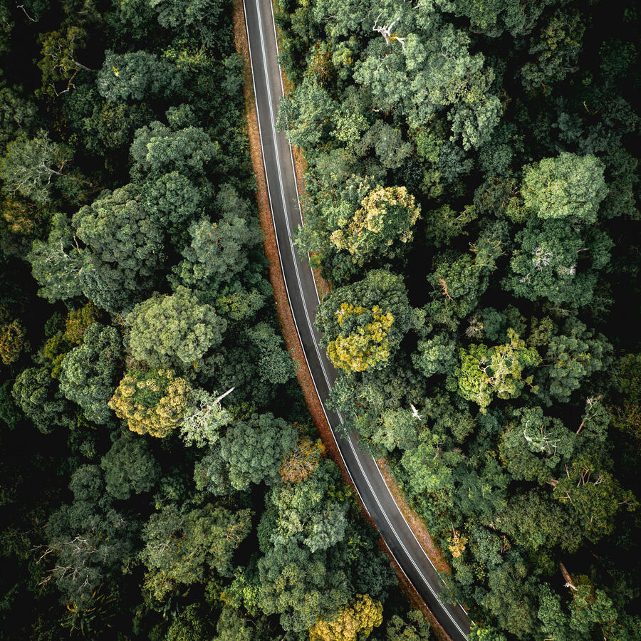 © Pexels / Pok Rie Auf dem Bild ist eine Autostrasse von oben zu sehen, die durch einen Wald geht. Der grüne Wald ist dicht links und rechts der Strasse, der Blick auf den Asphalt ist frei.