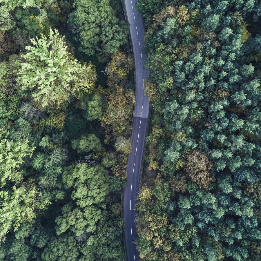 Auf dem Bild ist eine Autostrasse von oben zu sehen, die durch einen Wald geht. Der grüne Wald ist dicht links und rechts der Strasse, der Blick auf den Asphalt ist frei.