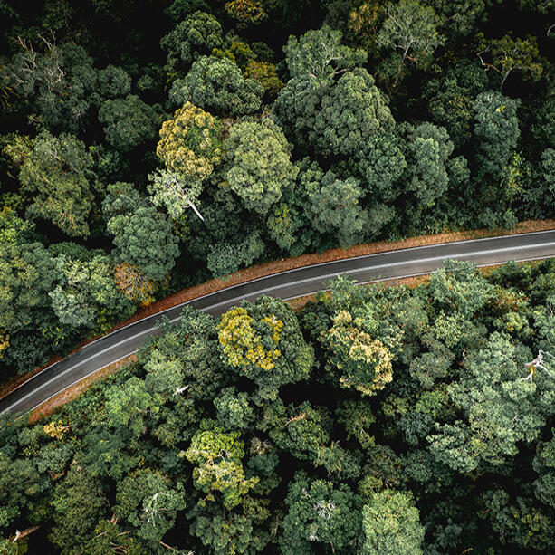 © Pexels / Pok Rie Auf dem Bild ist eine Autostrasse von oben zu sehen, die durch einen Wald geht. Der grüne Wald ist dicht links und rechts der Strasse, der Blick auf den Asphalt ist frei.